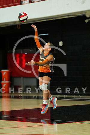 ©CGP 100326 Sectionals SCMS vs Maury 000116