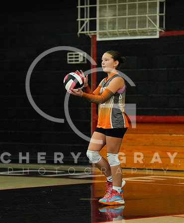 ©CGP 100326 Sectionals SCMS vs Maury 000139