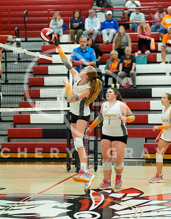 ©CGP 100326 Sectionals SCMS vs East Ridge 02568