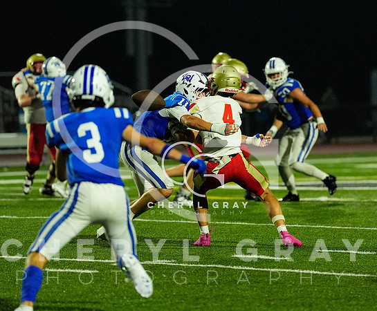 ©CGP 091826 Daniel Boone @ West Ridge 007447 copy