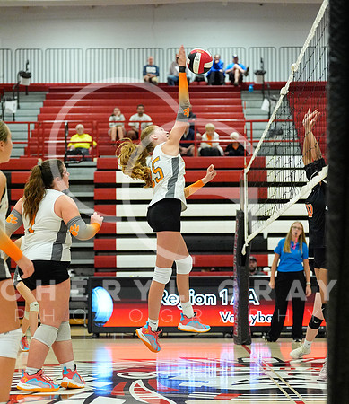 ©CGP 100326 Sectionals SCMS vs East Ridge 03887
