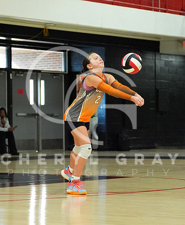 ©CGP 100326 Sectionals SCMS vs East Ridge 03977