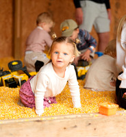 ©CGP 101026 Pumpkin Patch 007181
