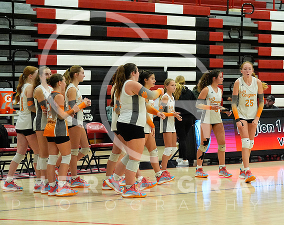 ©CGP 100326 Sectionals SCMS vs East Ridge 04149