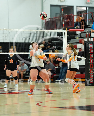 ©CGP 100326 Sectionals SCMS vs East Ridge 02667