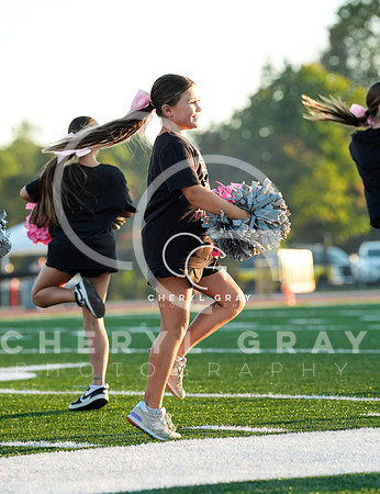 ©CGP 100126 Morristown West @ West RIdge 000563 copy