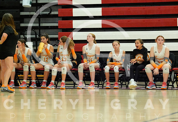 ©CGP 100326 Sectionals SCMS vs East Ridge 03914