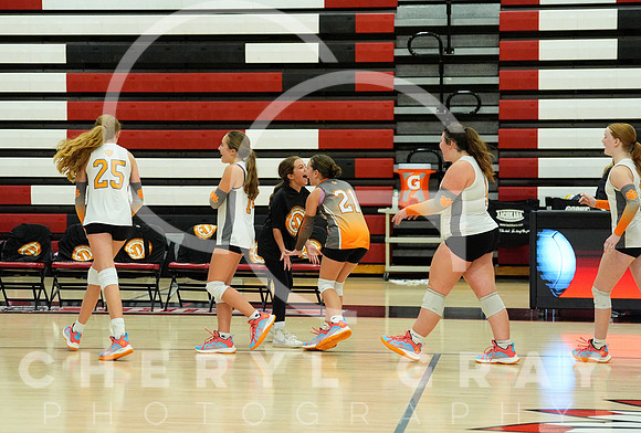 ©CGP 100326 Sectionals SCMS vs East Ridge 04072
