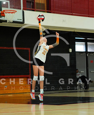 ©CGP 100326 Sectionals SCMS vs East Ridge 03435
