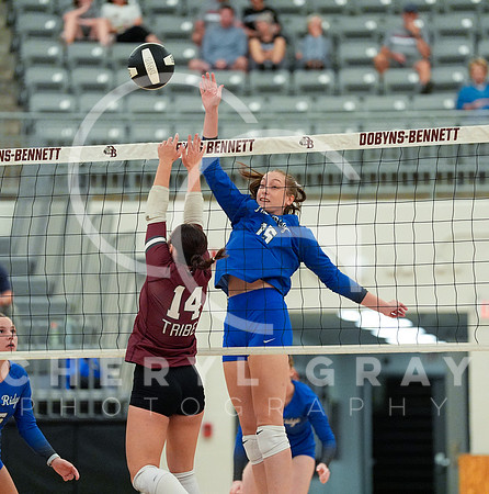 ©CGP 091526 West Ridge @ Dobyns Bennett 000270