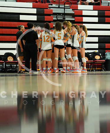 ©CGP 100326 Sectionals SCMS vs East Ridge 02933