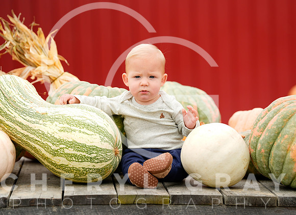 ©CGP 101026 Pumpkin Patch 009315