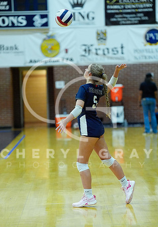 ©CGP 091926 Kirk Nairn Vball Tourney 000356