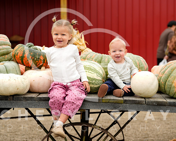 ©CGP 101026 Pumpkin Patch 009366