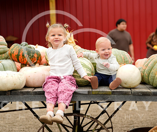 ©CGP 101026 Pumpkin Patch 009358