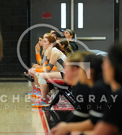 ©CGP 100326 Sectionals SCMS vs East Ridge 02470