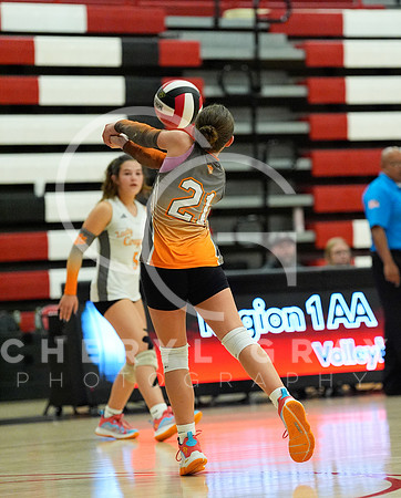©CGP 100326 Sectionals SCMS vs Maury 000616