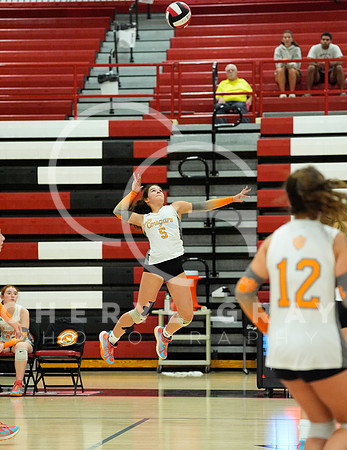 ©CGP 100326 Sectionals SCMS vs East Ridge 03758