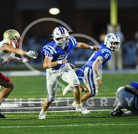 ©CGP 091826 Daniel Boone @ West Ridge 008849 copy