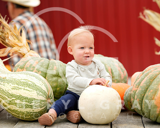 ©CGP 101026 Pumpkin Patch 009335