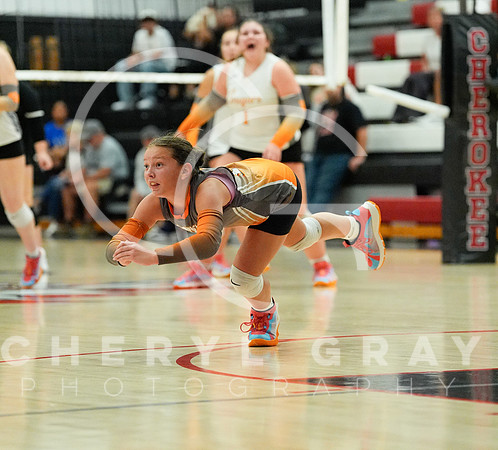 ©CGP 100326 Sectionals SCMS vs East Ridge 02655