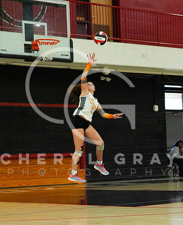 ©CGP 100326 Sectionals SCMS vs East Ridge 03952