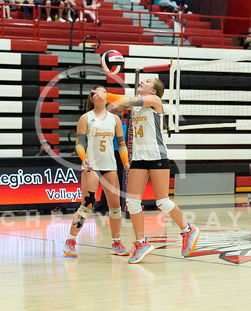 ©CGP 100326 Sectionals SCMS vs Maury 000759