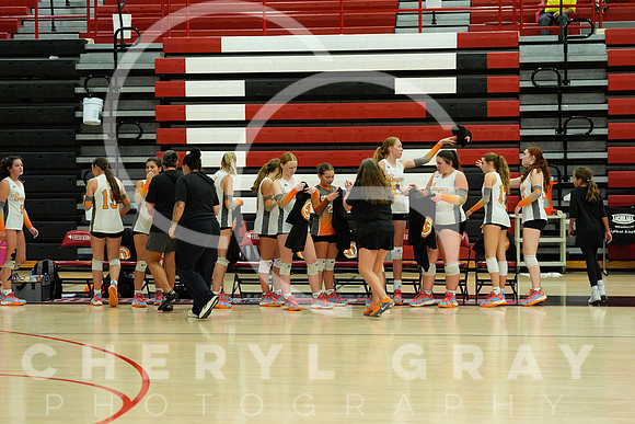 ©CGP 100326 Sectionals SCMS vs East Ridge 04104