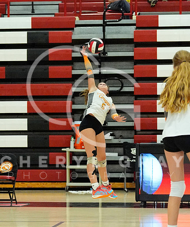 ©CGP 100326 Sectionals SCMS vs East Ridge 03123