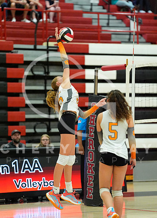 ©CGP 100326 Sectionals SCMS vs Maury 000791
