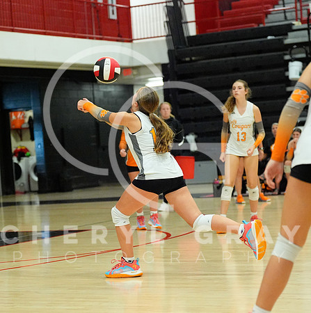 ©CGP 100326 Sectionals SCMS vs East Ridge 03555