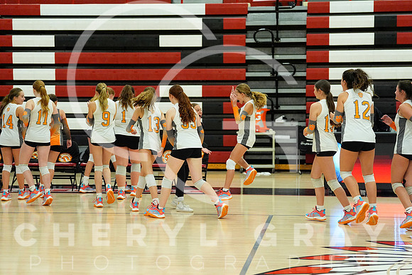 ©CGP 100326 Sectionals SCMS vs East Ridge 04089