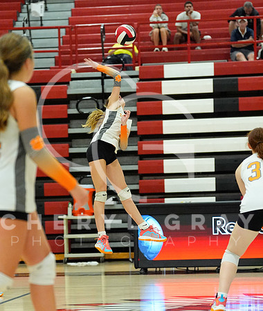 ©CGP 100326 Sectionals SCMS vs East Ridge 03458