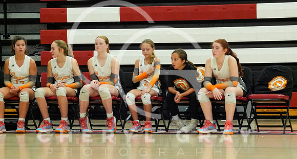 ©CGP 100326 Sectionals SCMS vs East Ridge 03222