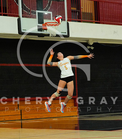 ©CGP 100326 Sectionals SCMS vs East Ridge 03949