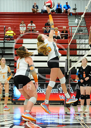 ©CGP 100326 Sectionals SCMS vs East Ridge 04006
