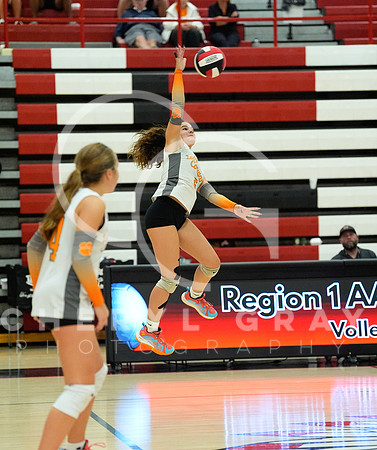 ©CGP 100326 Sectionals SCMS vs East Ridge 02964