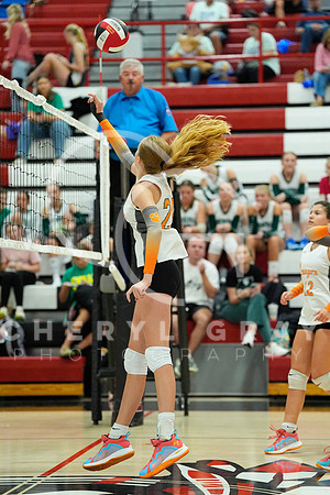 ©CGP 100326 Sectionals SCMS vs Maury 000153