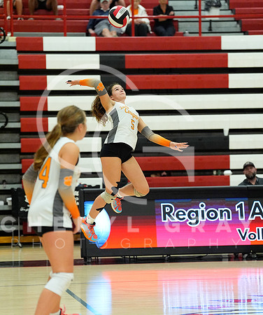 ©CGP 100326 Sectionals SCMS vs East Ridge 02963
