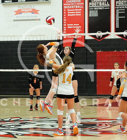 ©CGP 100326 Sectionals SCMS vs East Ridge 02854
