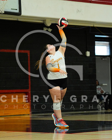 ©CGP 100326 Sectionals SCMS vs East Ridge 03202