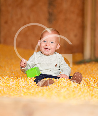 ©CGP 101026 Pumpkin Patch 007353 copy