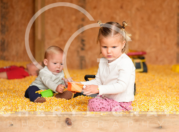 ©CGP 101026 Pumpkin Patch 007413