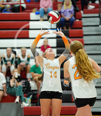©CGP 100326 Sectionals SCMS vs Maury 000159