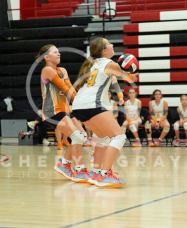 ©CGP 100326 Sectionals SCMS vs East Ridge 03497