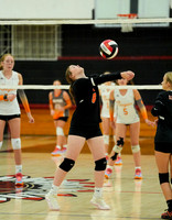 ©CGP 100326 Sectionals SCMS vs East Ridge 02439