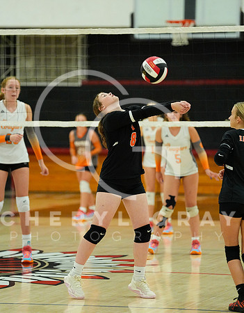 ©CGP 100326 Sectionals SCMS vs East Ridge 02439