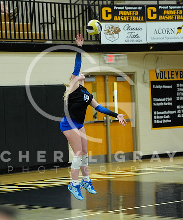 ©CGP 100526 District @ Crockett 002146