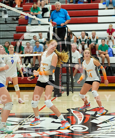 ©CGP 100326 Sectionals SCMS vs Maury 000268
