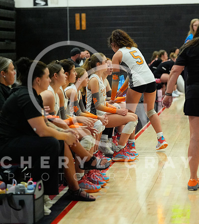 ©CGP 100326 Sectionals SCMS vs East Ridge 02589
